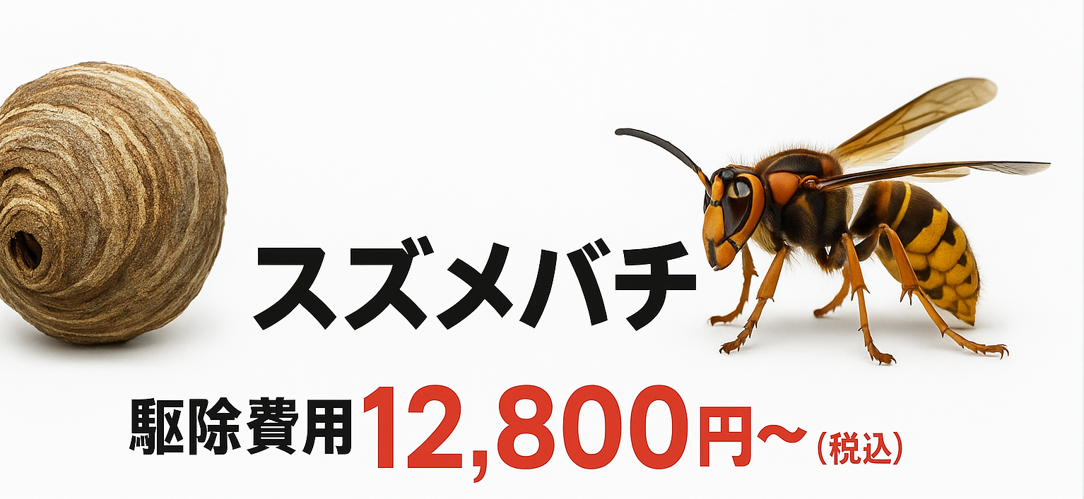 スズメバチ 12800円
