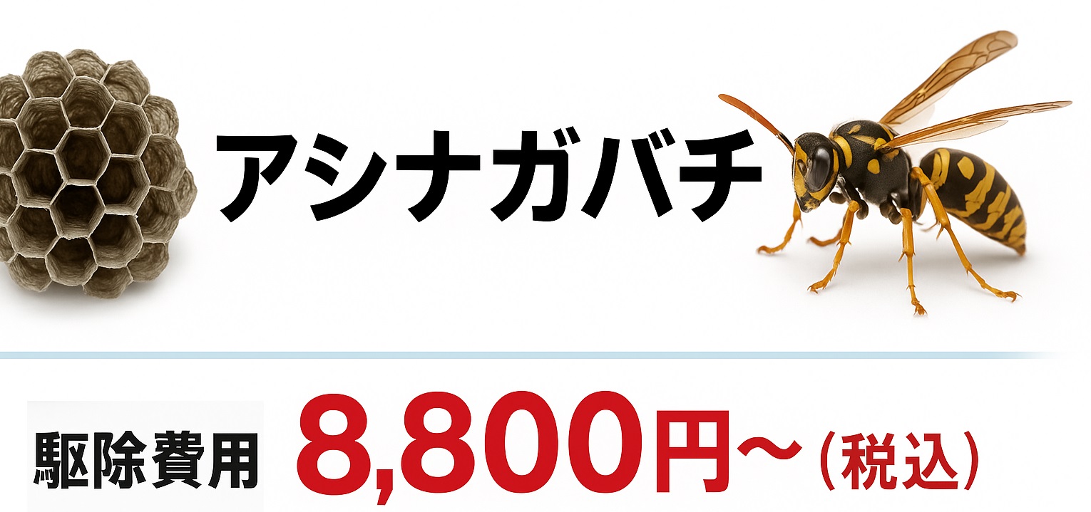 アシナガバチ 9800円