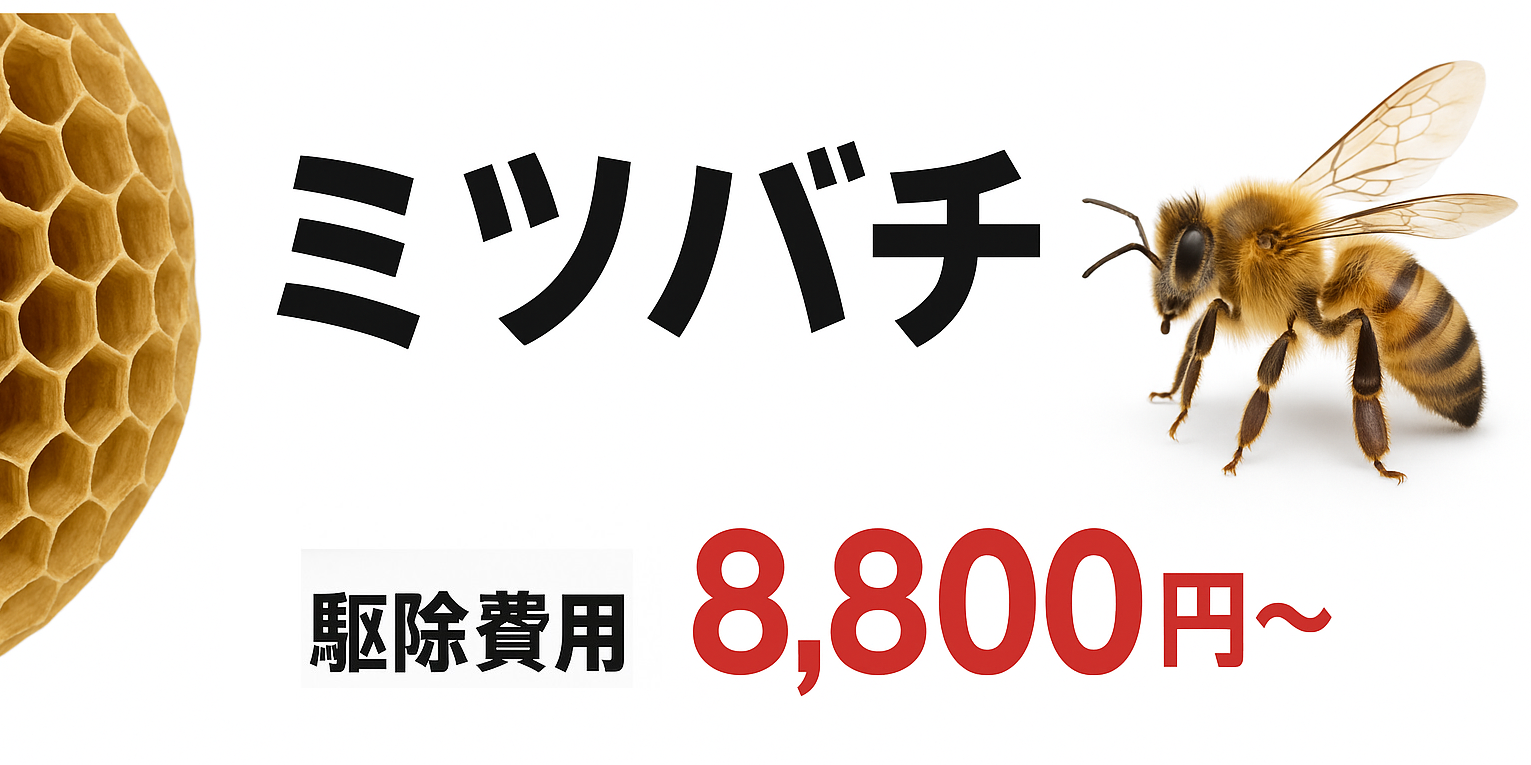 ミツバチ 8800円
